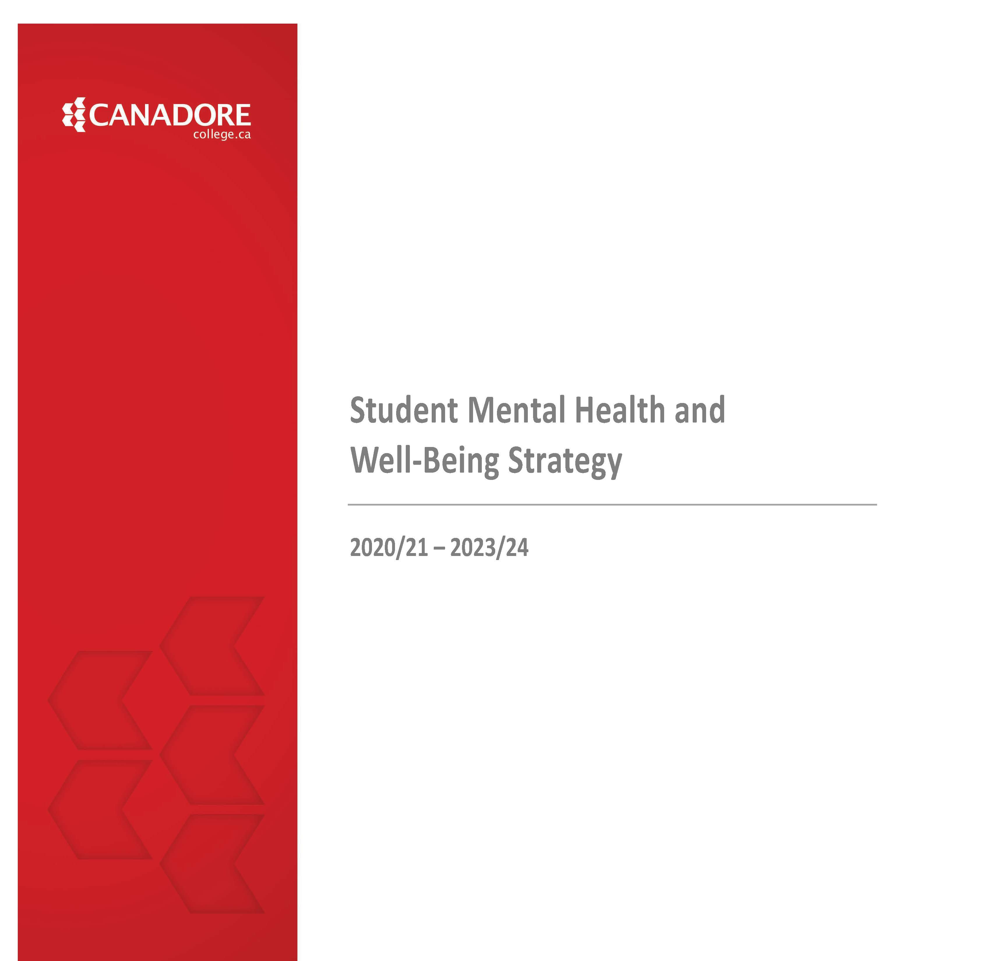Mental Health Strategy Document